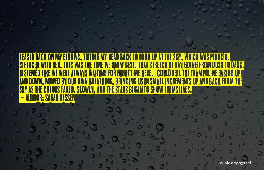 Sarah Dessen Quotes: I Eased Back On My Elbows, Tilting My Head Back To Look Up At The Sky, Which Was Pinkish, Streaked