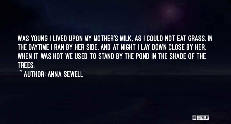 Anna Sewell Quotes: Was Young I Lived Upon My Mother's Milk, As I Could Not Eat Grass. In The Daytime I Ran By