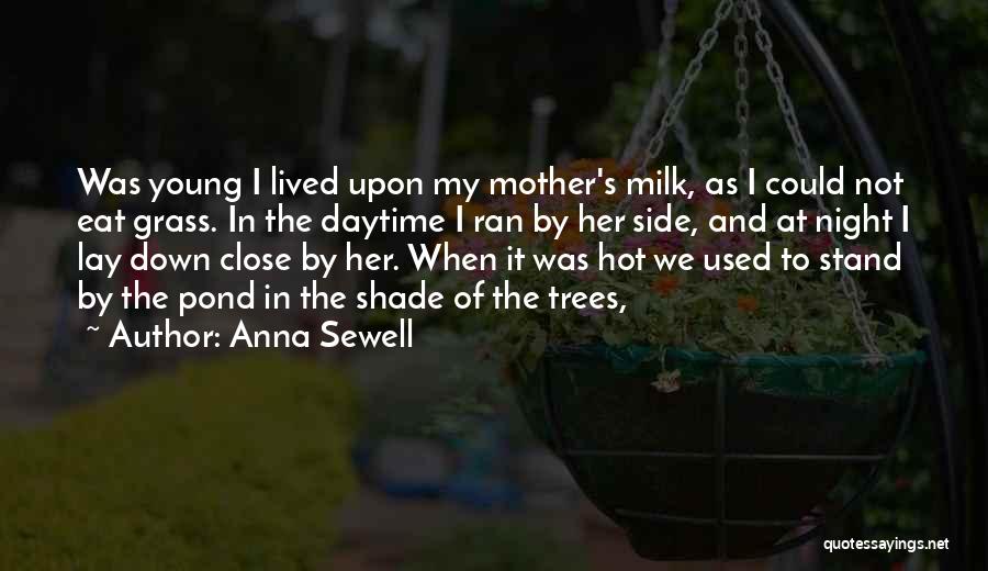 Anna Sewell Quotes: Was Young I Lived Upon My Mother's Milk, As I Could Not Eat Grass. In The Daytime I Ran By