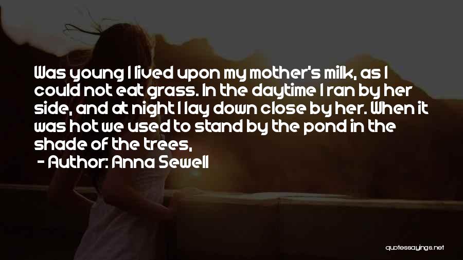 Anna Sewell Quotes: Was Young I Lived Upon My Mother's Milk, As I Could Not Eat Grass. In The Daytime I Ran By