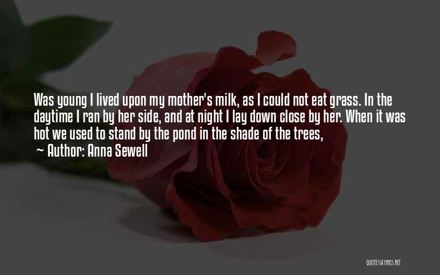 Anna Sewell Quotes: Was Young I Lived Upon My Mother's Milk, As I Could Not Eat Grass. In The Daytime I Ran By