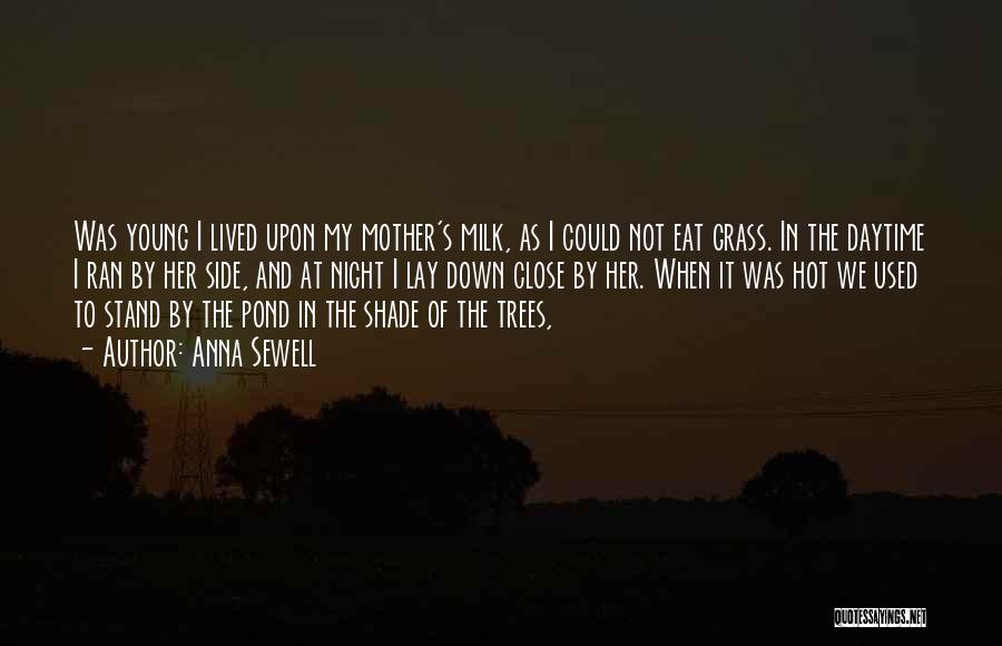 Anna Sewell Quotes: Was Young I Lived Upon My Mother's Milk, As I Could Not Eat Grass. In The Daytime I Ran By