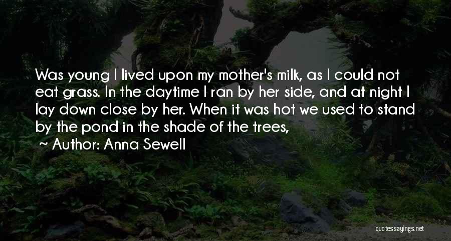 Anna Sewell Quotes: Was Young I Lived Upon My Mother's Milk, As I Could Not Eat Grass. In The Daytime I Ran By