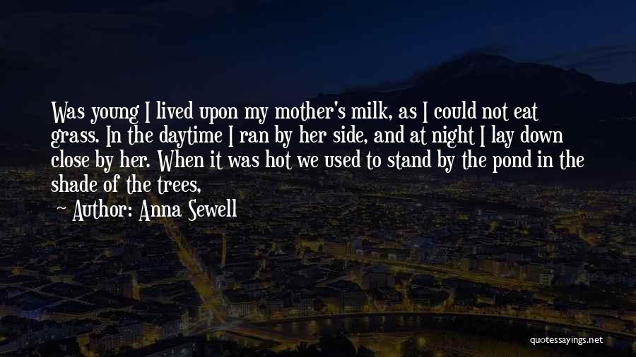 Anna Sewell Quotes: Was Young I Lived Upon My Mother's Milk, As I Could Not Eat Grass. In The Daytime I Ran By