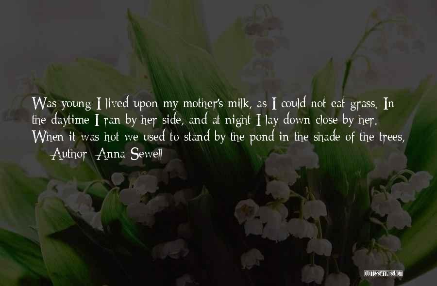 Anna Sewell Quotes: Was Young I Lived Upon My Mother's Milk, As I Could Not Eat Grass. In The Daytime I Ran By