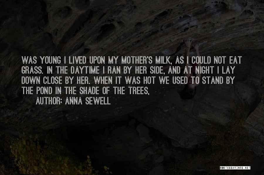 Anna Sewell Quotes: Was Young I Lived Upon My Mother's Milk, As I Could Not Eat Grass. In The Daytime I Ran By