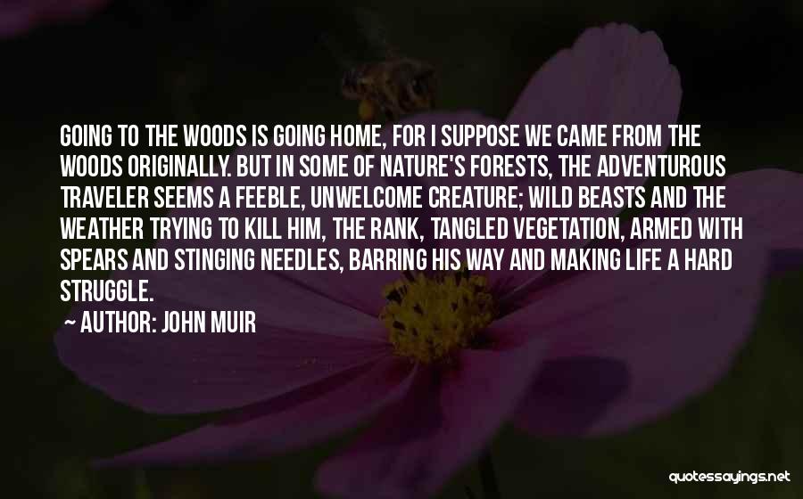 John Muir Quotes: Going To The Woods Is Going Home, For I Suppose We Came From The Woods Originally. But In Some Of