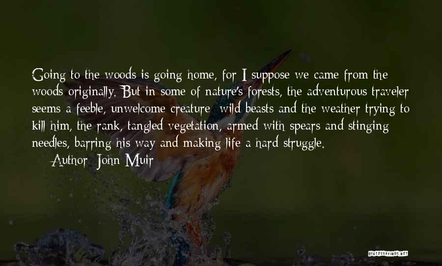 John Muir Quotes: Going To The Woods Is Going Home, For I Suppose We Came From The Woods Originally. But In Some Of