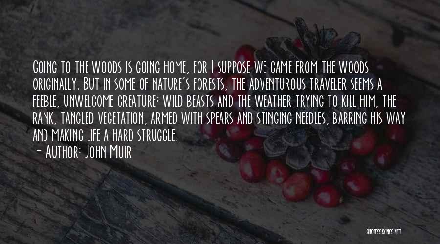 John Muir Quotes: Going To The Woods Is Going Home, For I Suppose We Came From The Woods Originally. But In Some Of