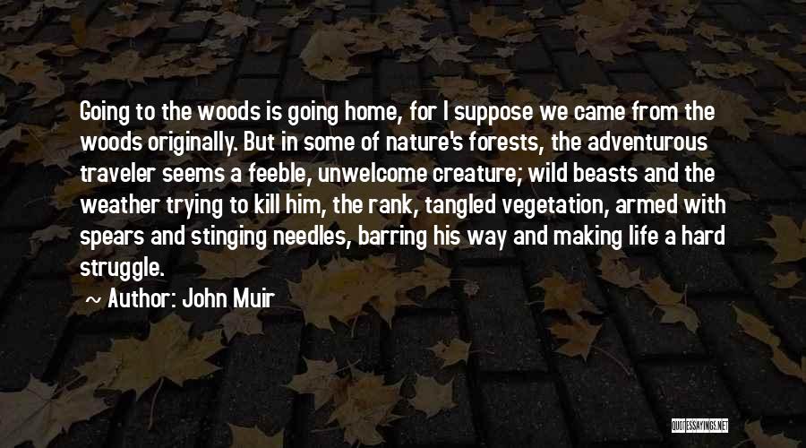 John Muir Quotes: Going To The Woods Is Going Home, For I Suppose We Came From The Woods Originally. But In Some Of