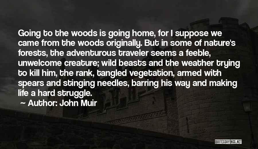 John Muir Quotes: Going To The Woods Is Going Home, For I Suppose We Came From The Woods Originally. But In Some Of
