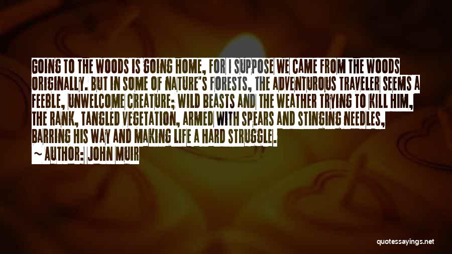 John Muir Quotes: Going To The Woods Is Going Home, For I Suppose We Came From The Woods Originally. But In Some Of