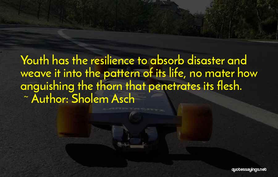 Sholem Asch Quotes: Youth Has The Resilience To Absorb Disaster And Weave It Into The Pattern Of Its Life, No Mater How Anguishing