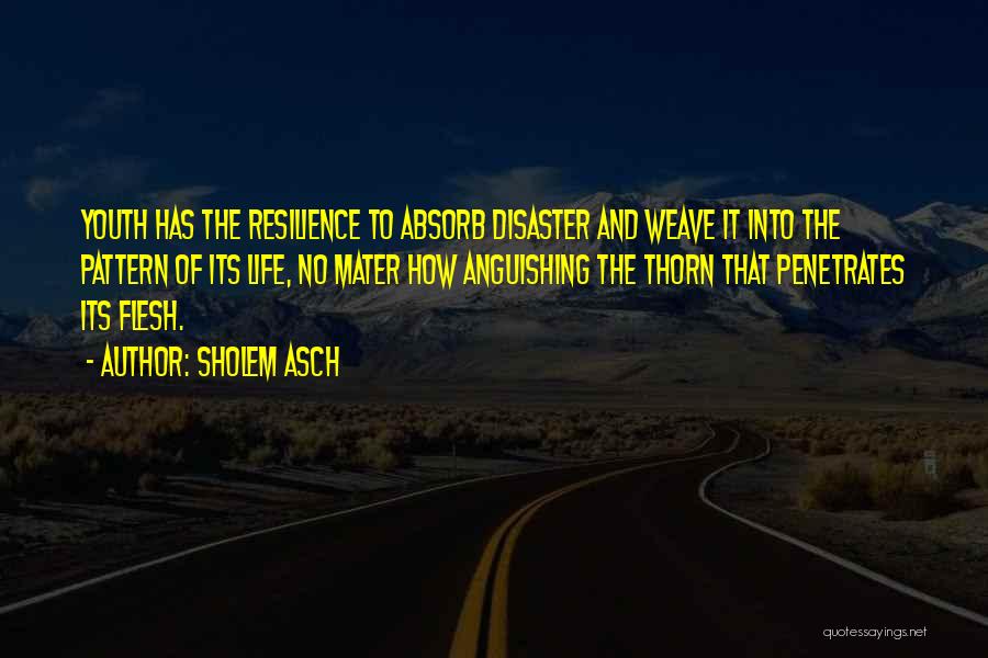 Sholem Asch Quotes: Youth Has The Resilience To Absorb Disaster And Weave It Into The Pattern Of Its Life, No Mater How Anguishing