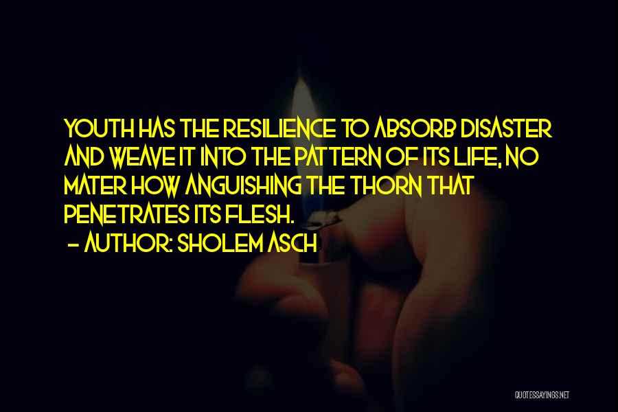 Sholem Asch Quotes: Youth Has The Resilience To Absorb Disaster And Weave It Into The Pattern Of Its Life, No Mater How Anguishing