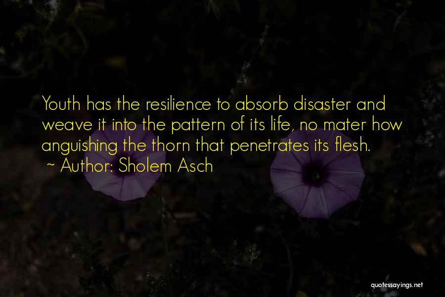 Sholem Asch Quotes: Youth Has The Resilience To Absorb Disaster And Weave It Into The Pattern Of Its Life, No Mater How Anguishing