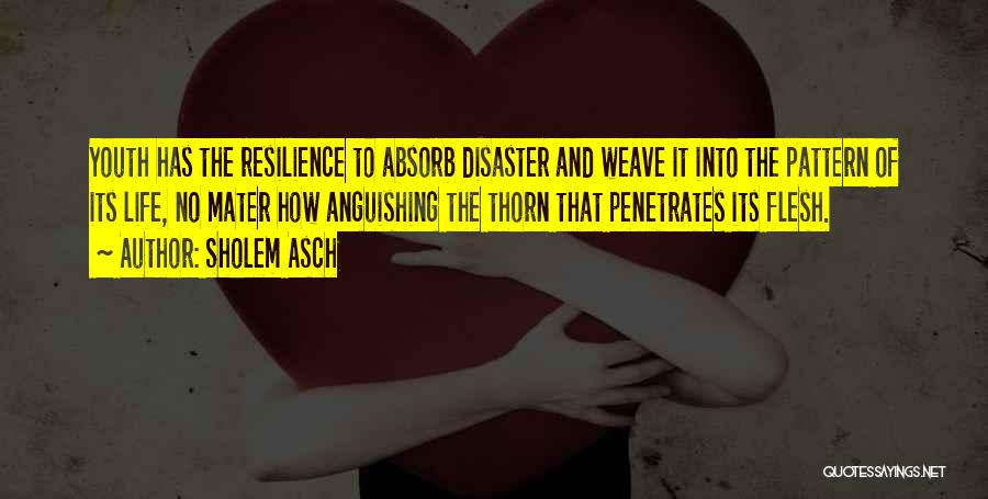 Sholem Asch Quotes: Youth Has The Resilience To Absorb Disaster And Weave It Into The Pattern Of Its Life, No Mater How Anguishing
