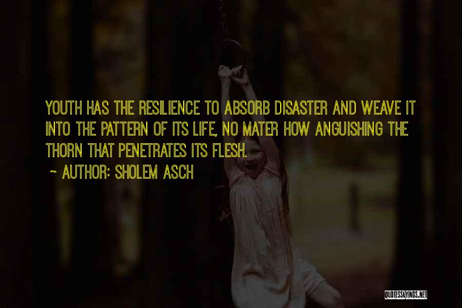 Sholem Asch Quotes: Youth Has The Resilience To Absorb Disaster And Weave It Into The Pattern Of Its Life, No Mater How Anguishing