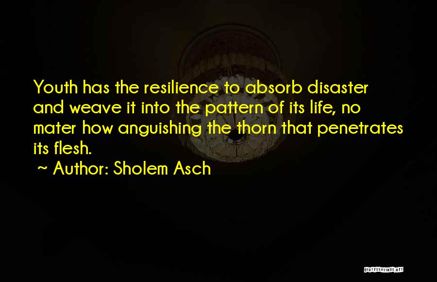 Sholem Asch Quotes: Youth Has The Resilience To Absorb Disaster And Weave It Into The Pattern Of Its Life, No Mater How Anguishing
