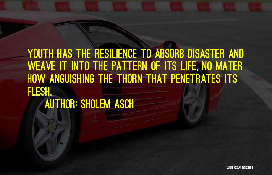 Sholem Asch Quotes: Youth Has The Resilience To Absorb Disaster And Weave It Into The Pattern Of Its Life, No Mater How Anguishing