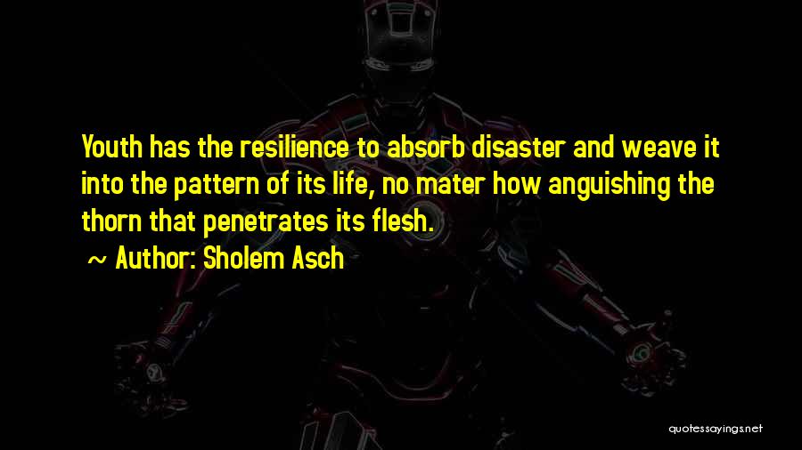 Sholem Asch Quotes: Youth Has The Resilience To Absorb Disaster And Weave It Into The Pattern Of Its Life, No Mater How Anguishing