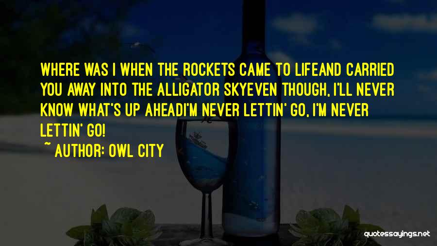 Owl City Quotes: Where Was I When The Rockets Came To Lifeand Carried You Away Into The Alligator Skyeven Though, I'll Never Know