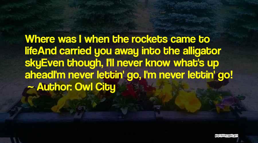 Owl City Quotes: Where Was I When The Rockets Came To Lifeand Carried You Away Into The Alligator Skyeven Though, I'll Never Know