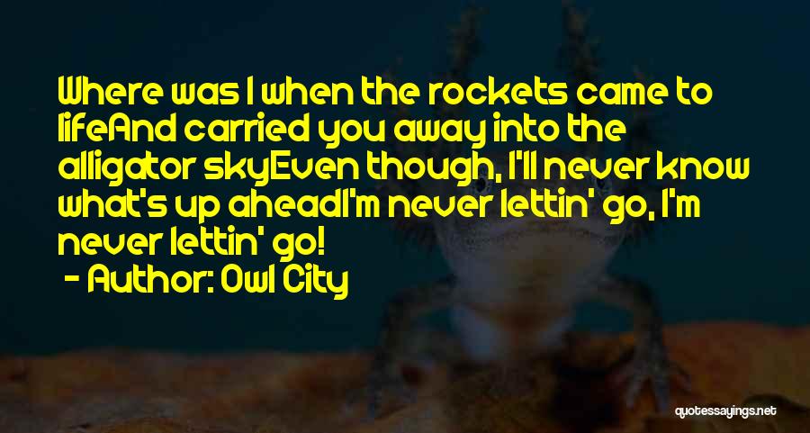 Owl City Quotes: Where Was I When The Rockets Came To Lifeand Carried You Away Into The Alligator Skyeven Though, I'll Never Know