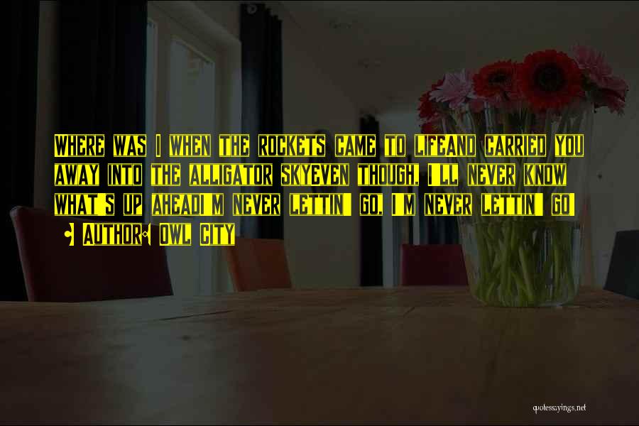 Owl City Quotes: Where Was I When The Rockets Came To Lifeand Carried You Away Into The Alligator Skyeven Though, I'll Never Know