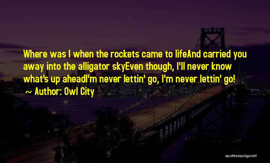 Owl City Quotes: Where Was I When The Rockets Came To Lifeand Carried You Away Into The Alligator Skyeven Though, I'll Never Know