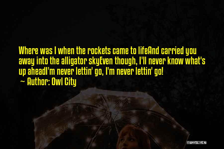 Owl City Quotes: Where Was I When The Rockets Came To Lifeand Carried You Away Into The Alligator Skyeven Though, I'll Never Know