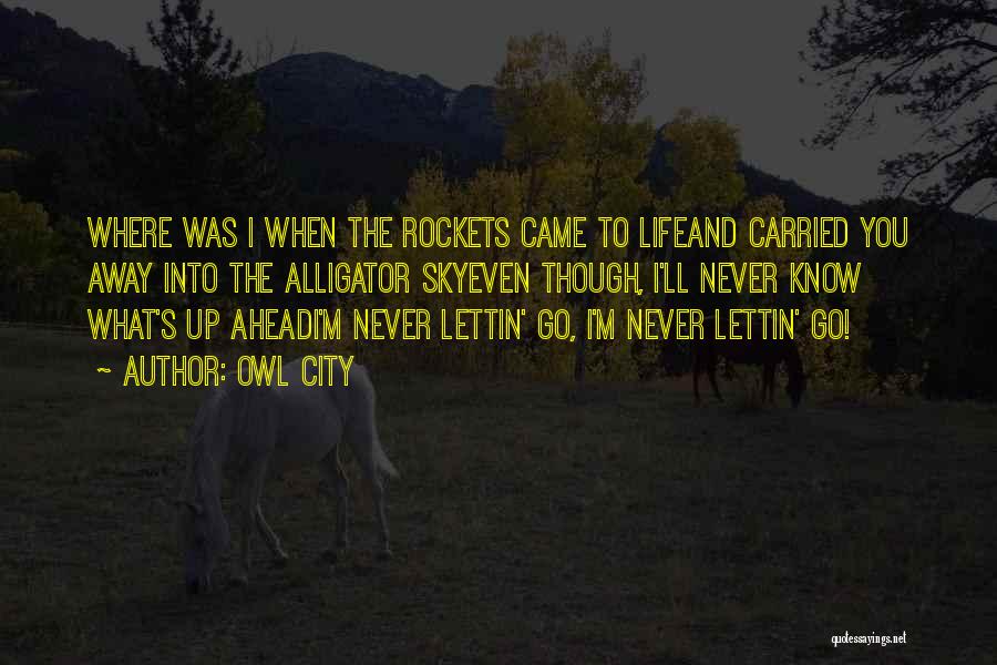 Owl City Quotes: Where Was I When The Rockets Came To Lifeand Carried You Away Into The Alligator Skyeven Though, I'll Never Know