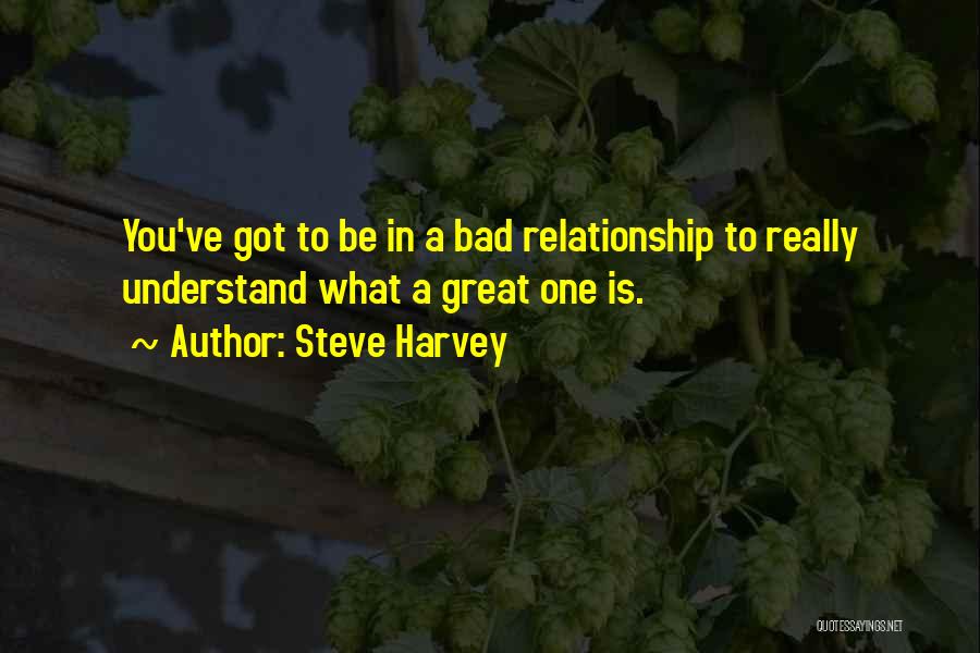 Steve Harvey Quotes: You've Got To Be In A Bad Relationship To Really Understand What A Great One Is.