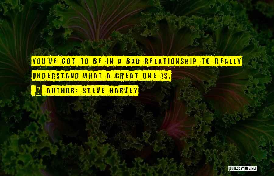 Steve Harvey Quotes: You've Got To Be In A Bad Relationship To Really Understand What A Great One Is.