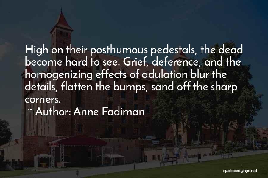 Anne Fadiman Quotes: High On Their Posthumous Pedestals, The Dead Become Hard To See. Grief, Deference, And The Homogenizing Effects Of Adulation Blur