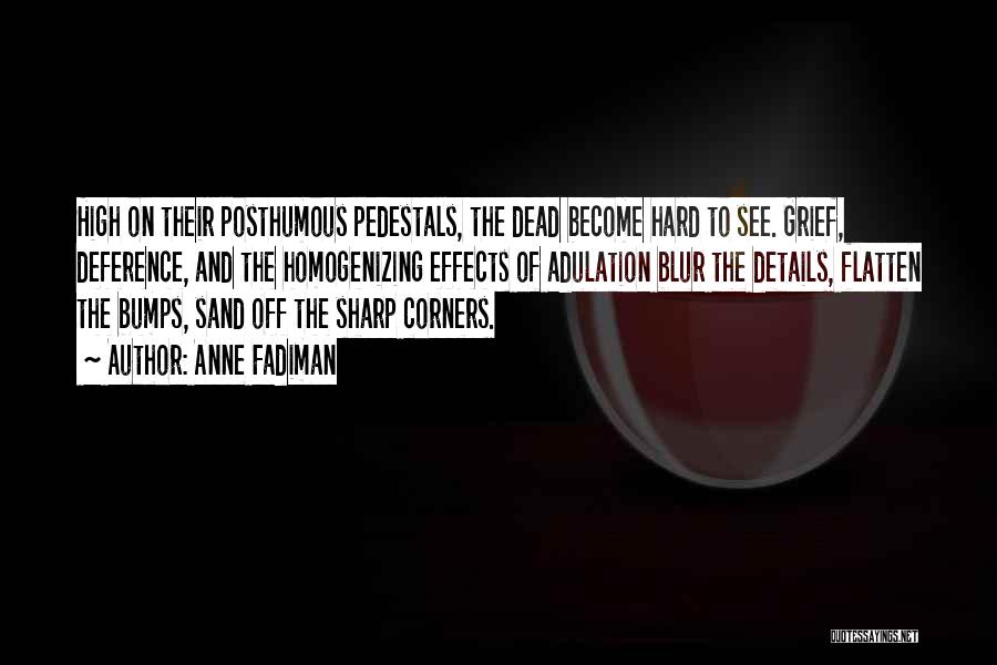 Anne Fadiman Quotes: High On Their Posthumous Pedestals, The Dead Become Hard To See. Grief, Deference, And The Homogenizing Effects Of Adulation Blur