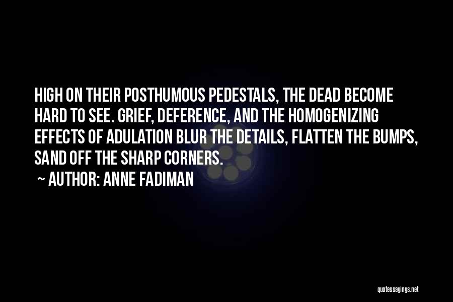 Anne Fadiman Quotes: High On Their Posthumous Pedestals, The Dead Become Hard To See. Grief, Deference, And The Homogenizing Effects Of Adulation Blur