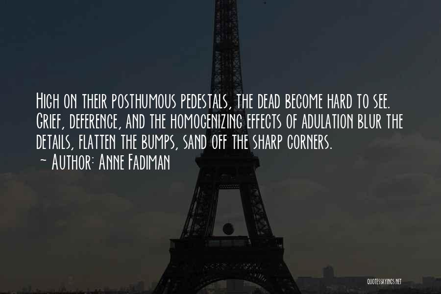 Anne Fadiman Quotes: High On Their Posthumous Pedestals, The Dead Become Hard To See. Grief, Deference, And The Homogenizing Effects Of Adulation Blur