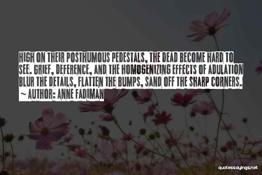 Anne Fadiman Quotes: High On Their Posthumous Pedestals, The Dead Become Hard To See. Grief, Deference, And The Homogenizing Effects Of Adulation Blur