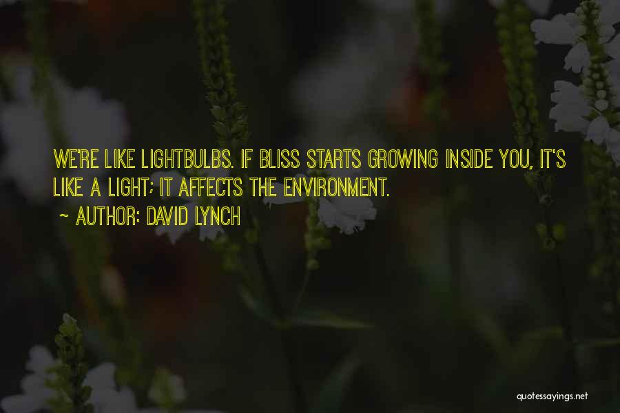 David Lynch Quotes: We're Like Lightbulbs. If Bliss Starts Growing Inside You, It's Like A Light; It Affects The Environment.