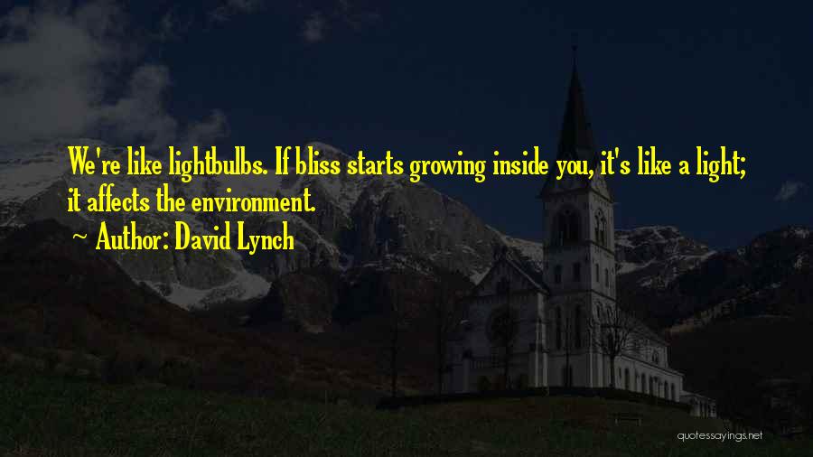 David Lynch Quotes: We're Like Lightbulbs. If Bliss Starts Growing Inside You, It's Like A Light; It Affects The Environment.