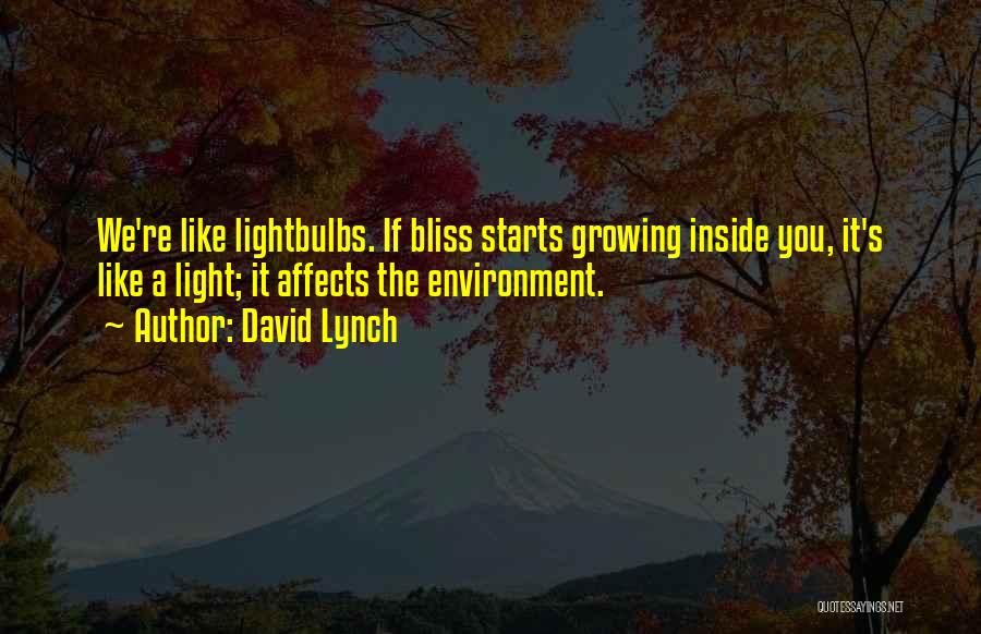 David Lynch Quotes: We're Like Lightbulbs. If Bliss Starts Growing Inside You, It's Like A Light; It Affects The Environment.