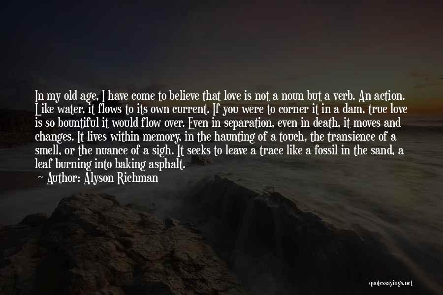 Alyson Richman Quotes: In My Old Age, I Have Come To Believe That Love Is Not A Noun But A Verb. An Action.