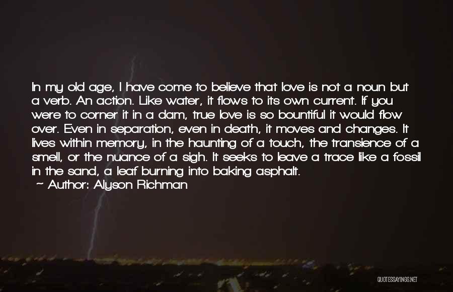 Alyson Richman Quotes: In My Old Age, I Have Come To Believe That Love Is Not A Noun But A Verb. An Action.