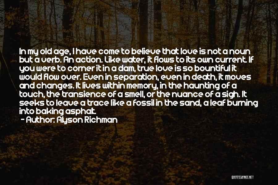 Alyson Richman Quotes: In My Old Age, I Have Come To Believe That Love Is Not A Noun But A Verb. An Action.