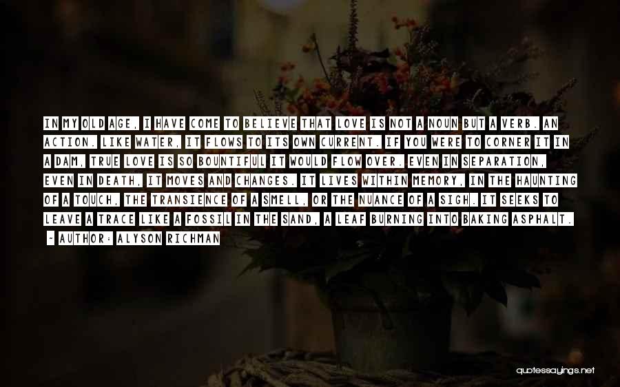 Alyson Richman Quotes: In My Old Age, I Have Come To Believe That Love Is Not A Noun But A Verb. An Action.