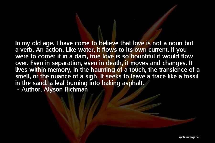 Alyson Richman Quotes: In My Old Age, I Have Come To Believe That Love Is Not A Noun But A Verb. An Action.