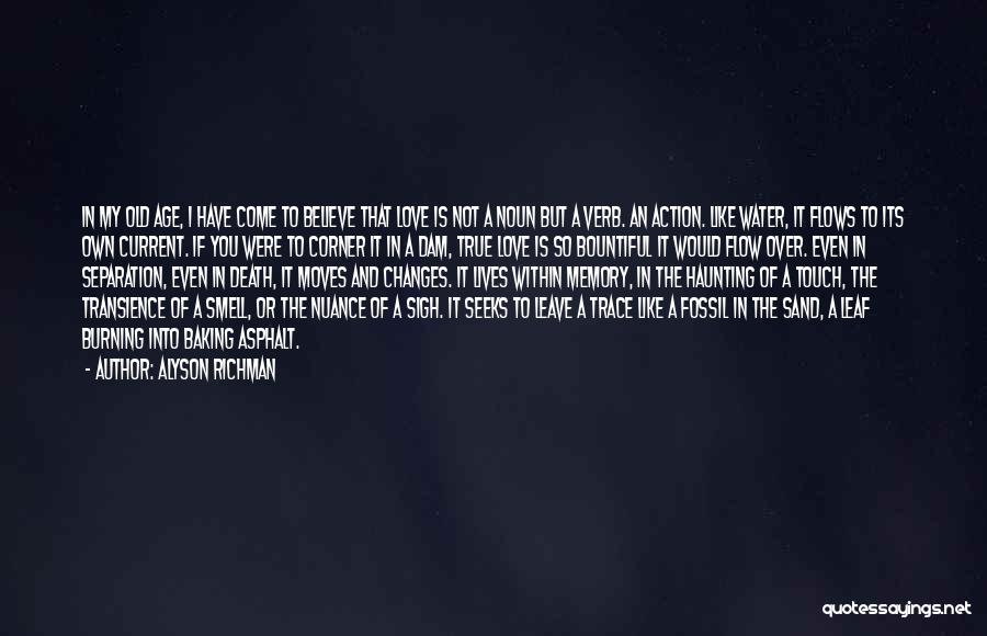 Alyson Richman Quotes: In My Old Age, I Have Come To Believe That Love Is Not A Noun But A Verb. An Action.