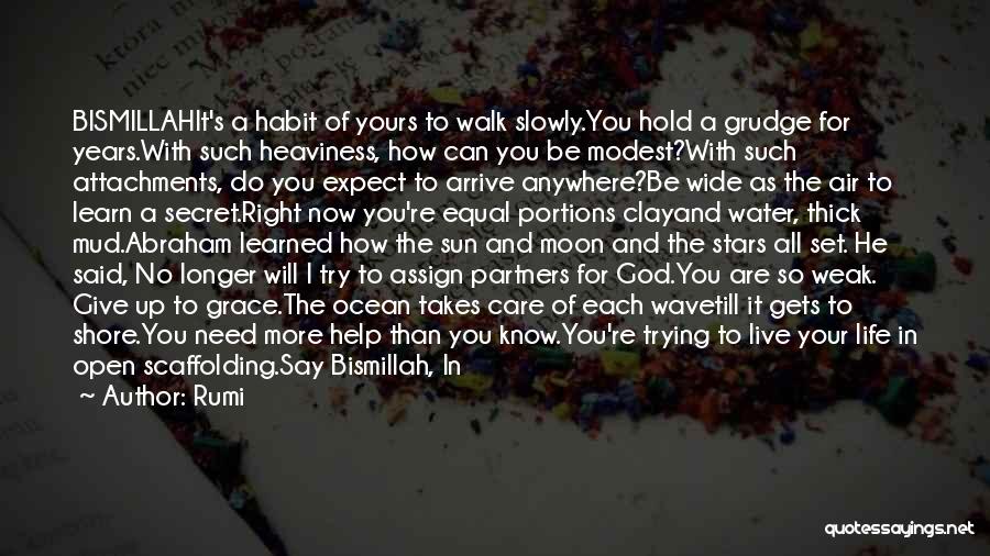 Rumi Quotes: Bismillahit's A Habit Of Yours To Walk Slowly.you Hold A Grudge For Years.with Such Heaviness, How Can You Be Modest?with
