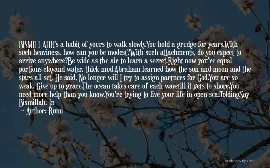 Rumi Quotes: Bismillahit's A Habit Of Yours To Walk Slowly.you Hold A Grudge For Years.with Such Heaviness, How Can You Be Modest?with